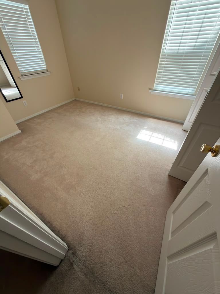 A sunlit bedroom with freshly cleaned carpet showing crisp extraction lines