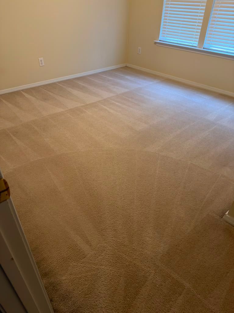 Bedroom carpet with fresh fan-pattern extraction lines, corner to corner