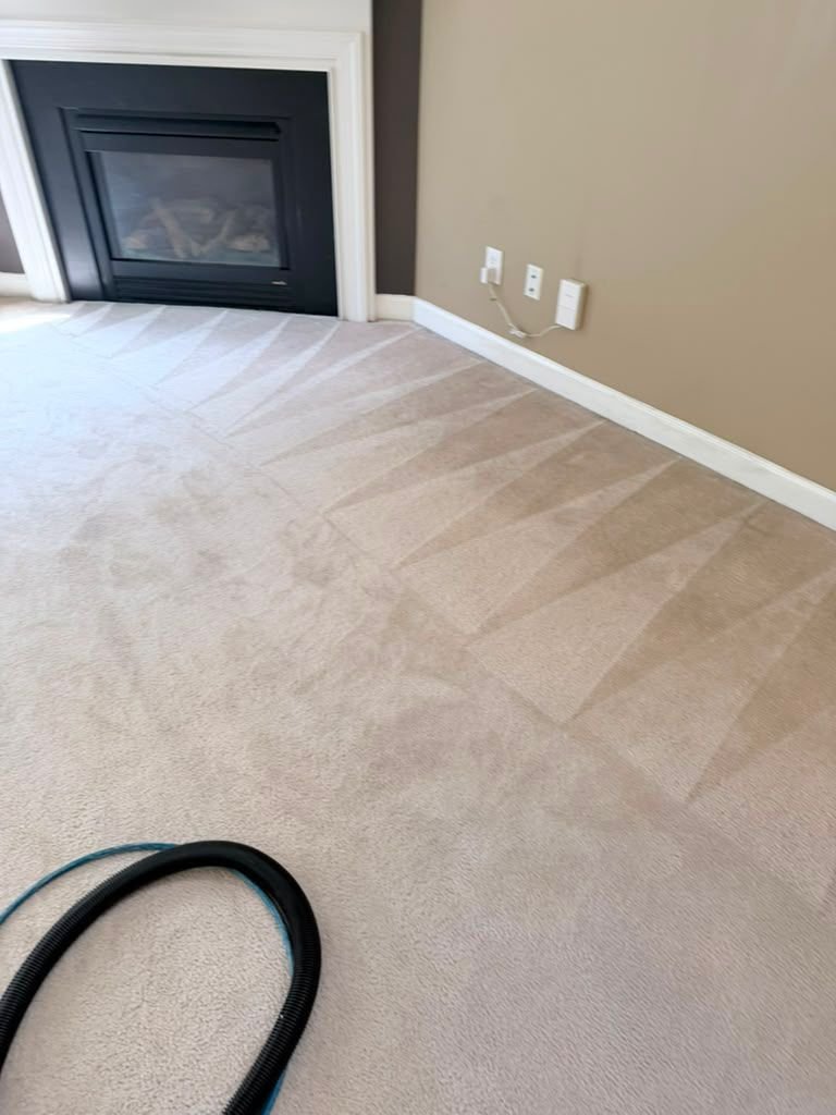 Living room carpet freshly extracted in a clean fan pattern beside the fireplace